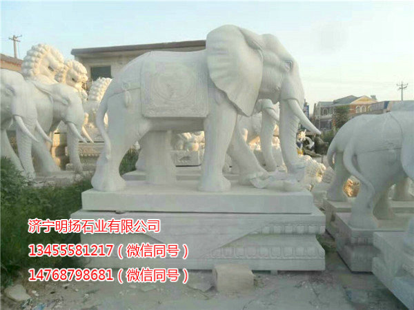 石雕大象 (11).jpg
