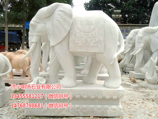 石雕大象 (7).jpg